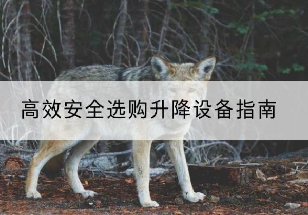 常州升降货梯厂家推荐-*安全选购升降设备指南