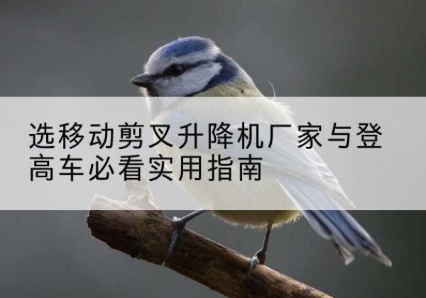 常州电动升降机厂家-选移动剪叉升降机厂家与登高车必看实用指南