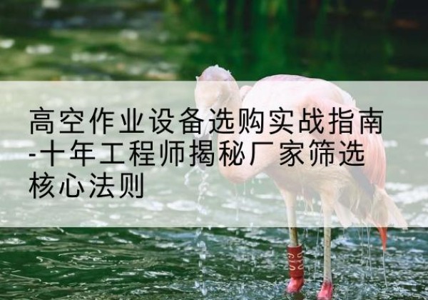 常州剪叉式升降机厂家-高空作业设备选购实战指南-十年工程师揭秘厂家筛选核心法则